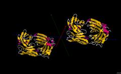 Cetuksymab