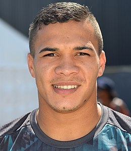 Cheslin Kolbe 2017.jpg