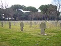 Cimitero militare germanico di Pomezia, le croci e le foglie morte.