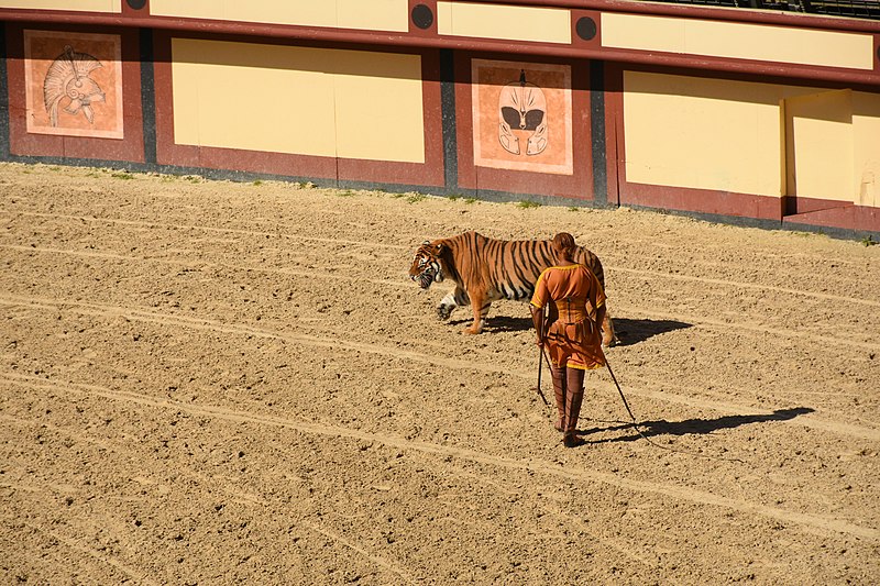 File:Colosseum - Roman Arena 63 - Tiger and Tamer 1.jpg