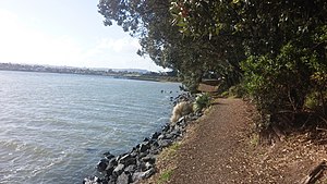 Conifer Grove coastal walk.jpg