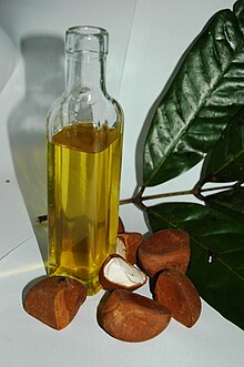 Andiroba virgin oil Crabwood oil or Andiroba oil.JPG