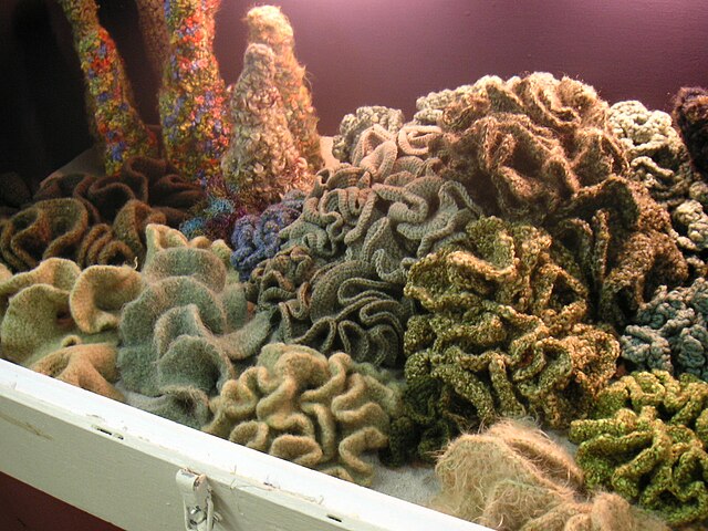 A collection of crocheted hyperbolic planes, in imitation of a coral reef, by the Institute For Figuring