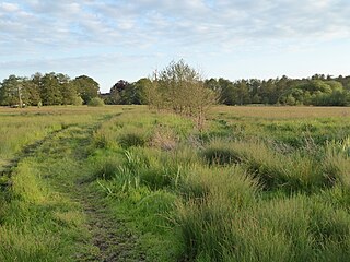 <span class="mw-page-title-main">Darsham Marshes</span>