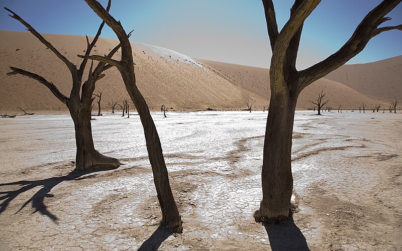 File:Dead Vlei, Namibia.jpg