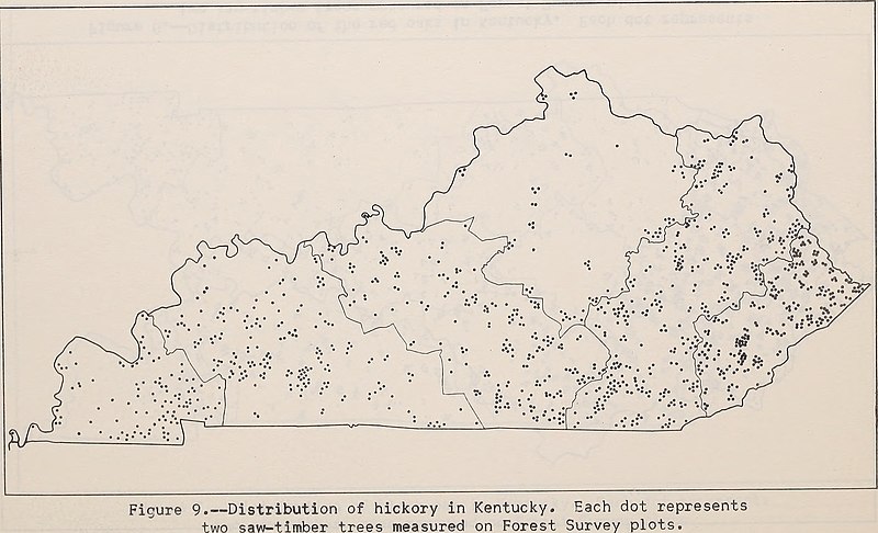File:Distribution of tree species in Kentucky (1952) (20353927714).jpg