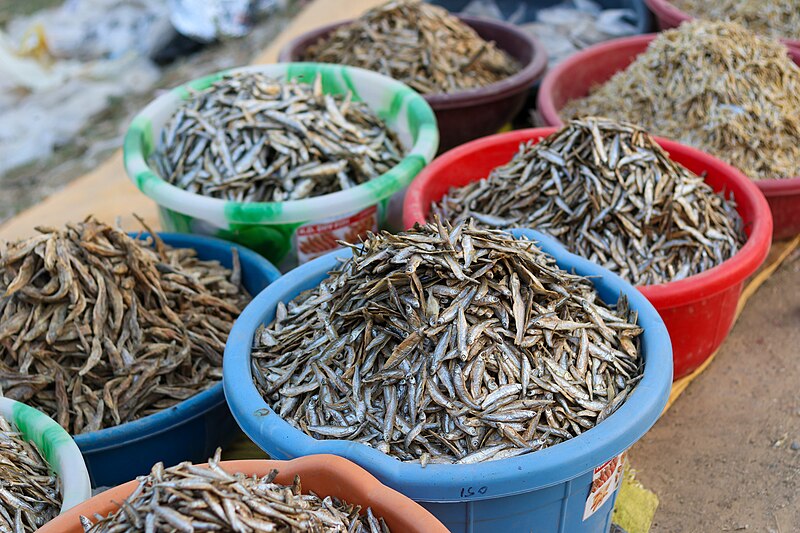 File:Dried fish at Fareniya Bazar, Indo Nepal Border Trail, Sonauli-IMG 7198.jpg