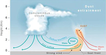 Dust storms as a source of aerosolized bacteria Dust storms as a source of aerosolized bacteria.png