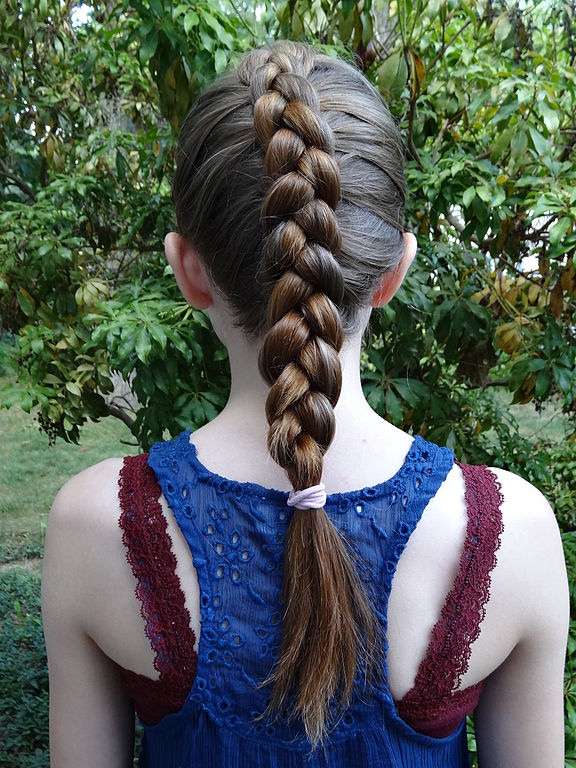 File:Classic French Braid (2).JPG - Wikipedia