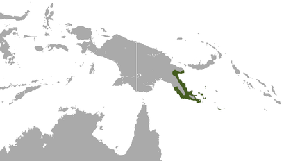 Eastern Common Cuscus area.png