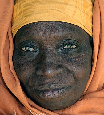 338px-Elderly_Gambian_woman_face_portrait.jpg