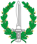 Thumbnail for Special Operations Groups (Spain)