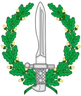 Special Operations Groups (Spain) military unit of the Spanish Army