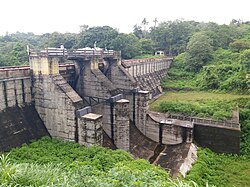 Erattayar Dam