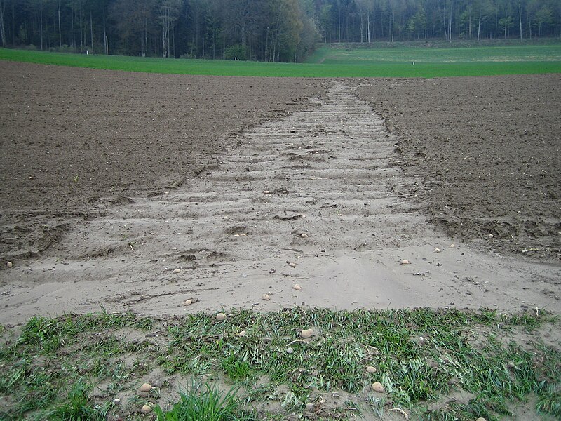 File:Erosion Mulden004.JPG