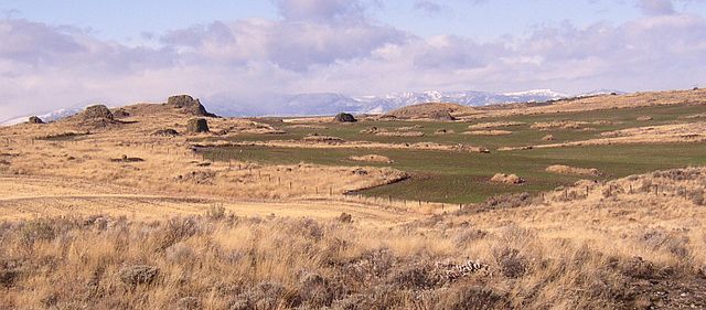 Multiple erratics on the terminal moraine of the Okanogan Lobe. The Cascade Mountains are in the background.