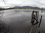 Förchensee (Bernau am Chiemsee)