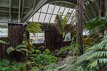 The Fern House Fern House (Christchurch Botanic Gardens), New Zealand.jpg