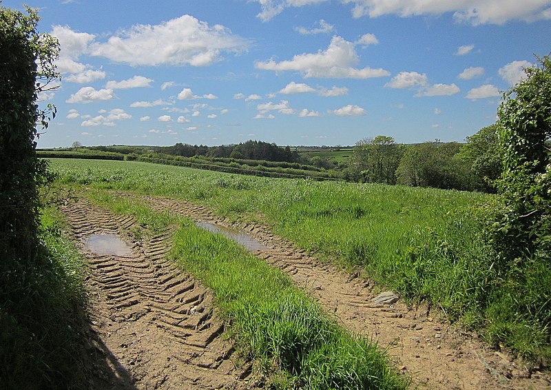 File:Field near Venn Farm - geograph.org.uk - 4120140.jpg