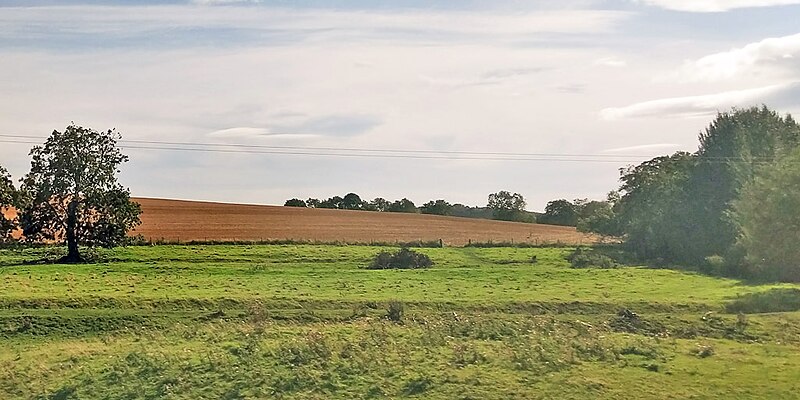 File:Fields near Preston East Farm - geograph.org.uk - 6269787.jpg