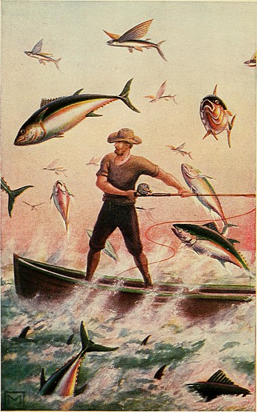 File:Fish stories alleged and experienced, with a little history natural and unnatural (1909) (14761288541).jpg