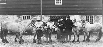 Une famille devant une maison aux côtés de petits chevaux.