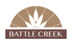 Battle Creek (Michigan)