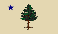 The first official state flag of Maine, which was part of Massachusetts until 1820.