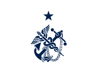 File:Flag of a 1-Star Assistant Surgeon General.svg