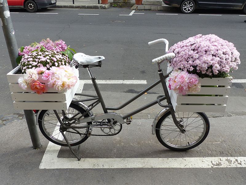 File:Flower bike - Viziváros, Iskola utca.jpg