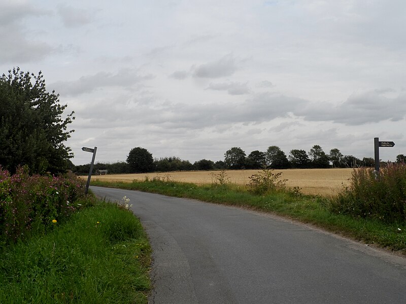 File:Footpaths left and right - geograph.org.uk - 4613529.jpg