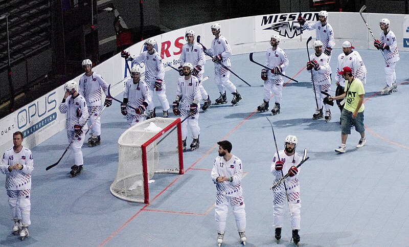 File:France inline hockey WC 2014.JPG