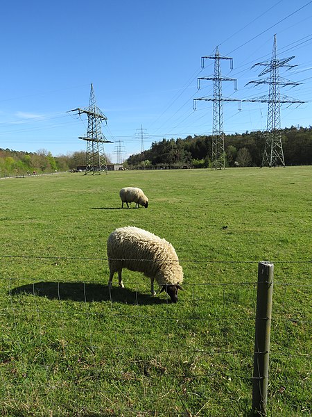 File:Freileitungen Eppertshausen 2020-04-10 21.jpg