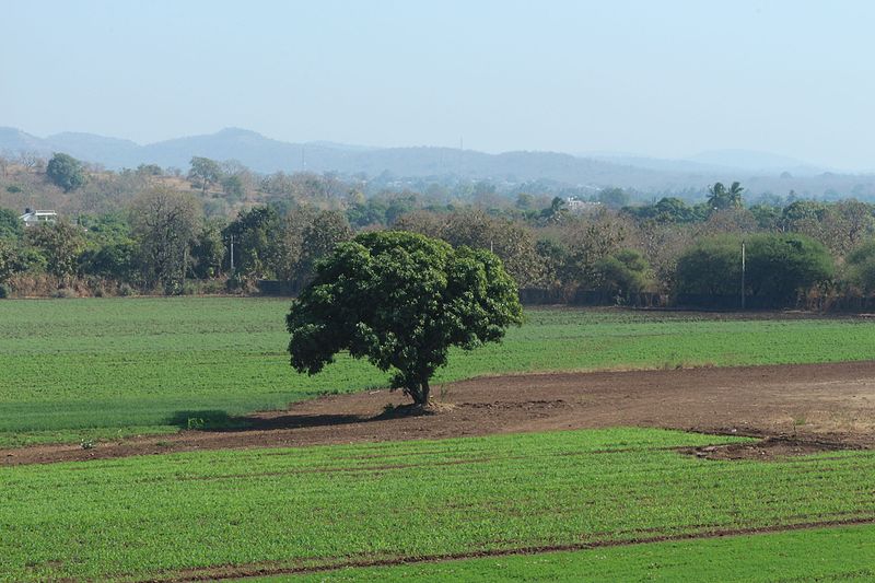 File:GREEN SCAPE.jpg