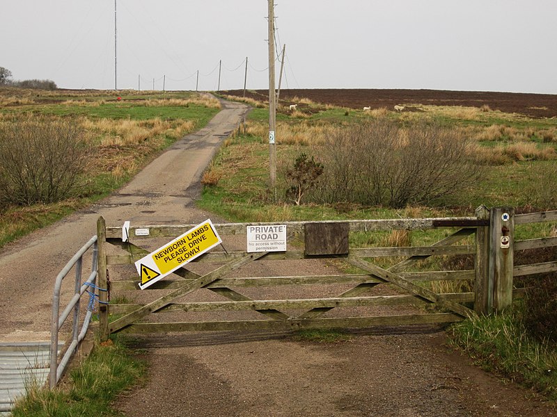 File:Gate in the road to Chatton Sandyfords and a sign for clever sheep - geograph.org.uk - 3485908.jpg