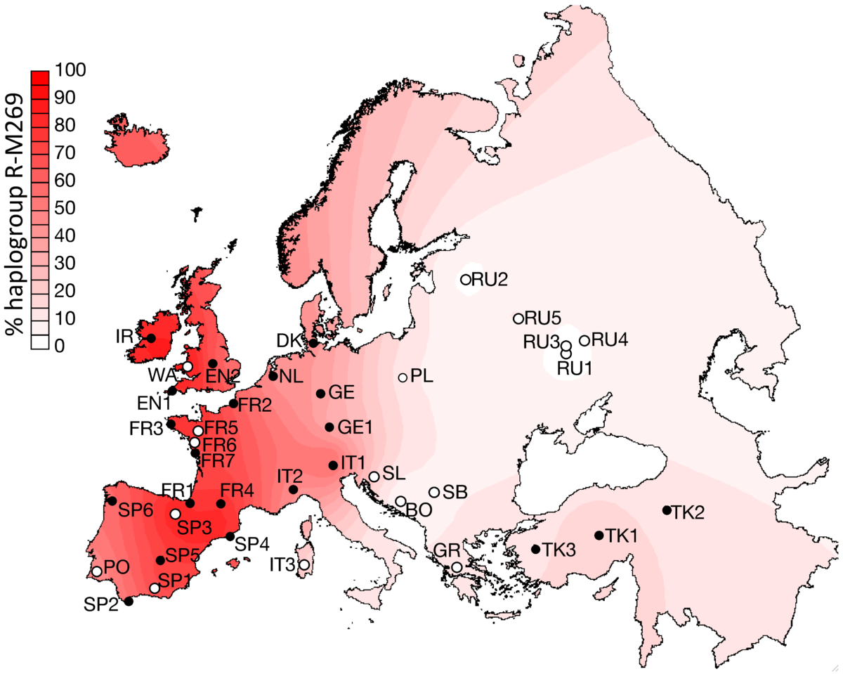 Haplogroup R M269 Wikipedia