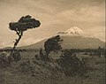 George Chance - Mount Egmont - Google Art Project.jpg