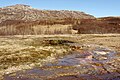 * Nomination Hot spring, Geysir Geothermal Field, Haukadalur Valley, Iceland --Jakubhal 04:19, 19 June 2023 (UTC) * Promotion  Support Good quality. --Uoaei1 04:43, 19 June 2023 (UTC)