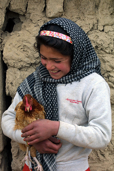 File:Girl with chicken afghanistan.jpg