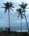 Goa - An Overcast Season (36).JPG