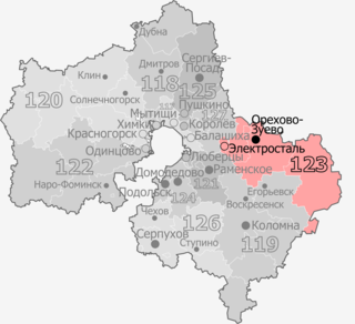 <span class="mw-page-title-main">Orekhovo-Zuyevo constituency</span> Legislative constituency in Russia