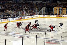 The Griffins in action against the Milwaukee Admirals Grand Rapids Griffins vs. Milwaukee Admirals November 2023 03 (face-off).jpg