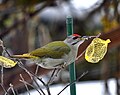 Miniatyrbilde av versjonen fra 9. feb. 2016 kl. 12:39