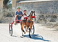 Great Sunday ride on the Serkin (Maltese name of that vehicle) by Renata Apan