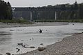 Großhesseloher Brücke von Norden gesehen, München