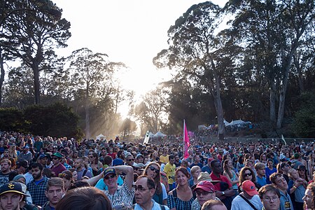 Hardly Strictly Crowd