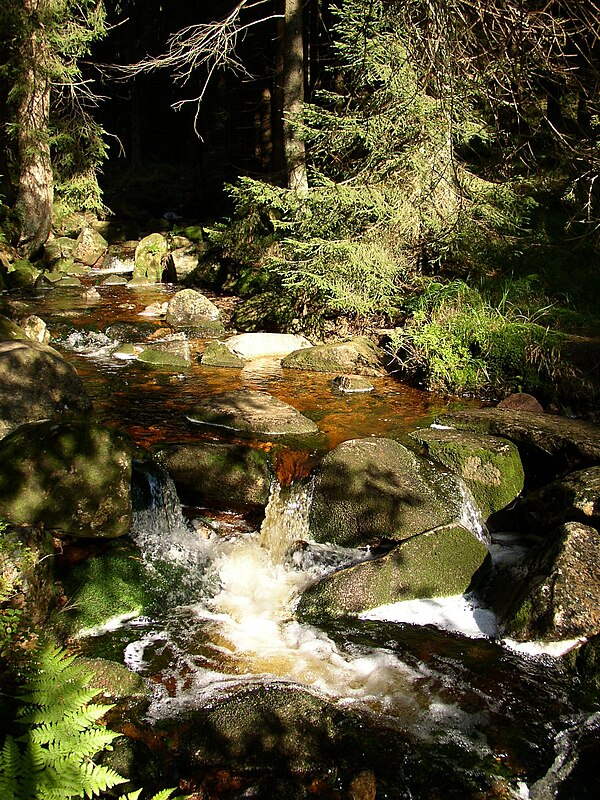 File:Harz Schwarzes Schluftwasser.jpg