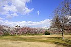 平芝公園 （2019年（平成31年）3月）