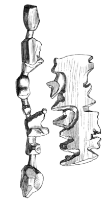 Island map (left) and coast map (right) Holm1887p250 Traekort.png