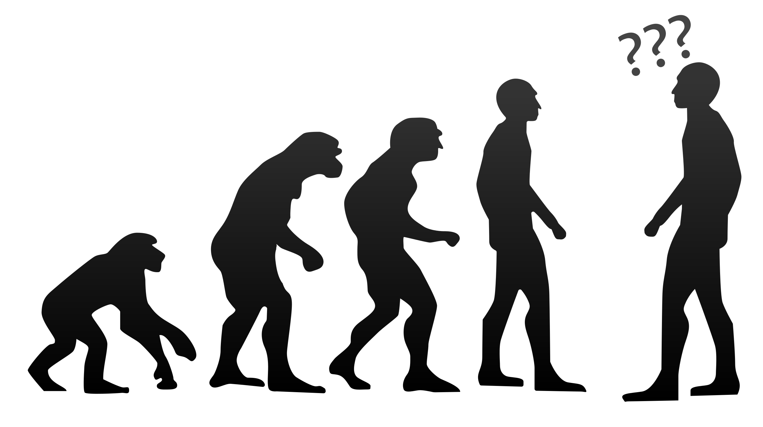 Human evolution - Wikipedia